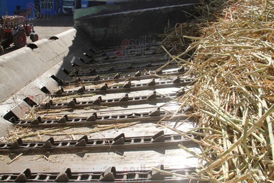 طبالى-تكسير-القصب