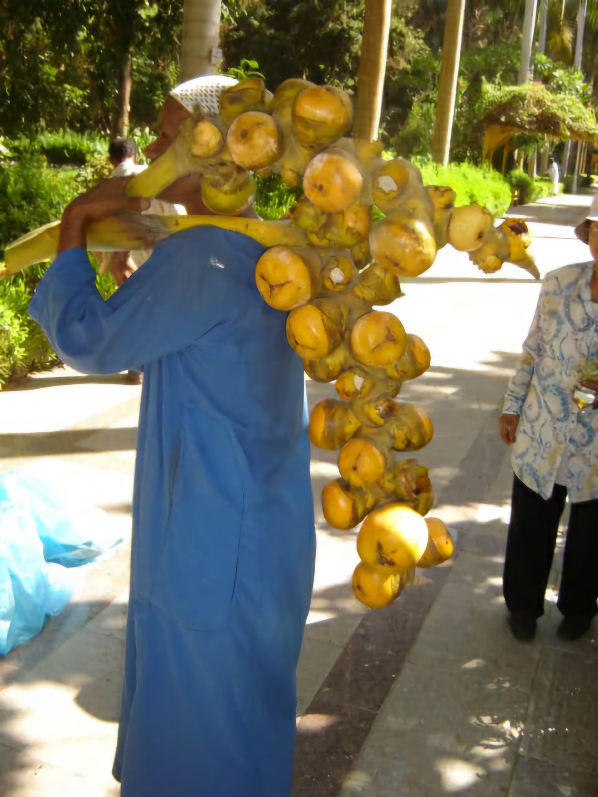 أحد عمال الحديقة