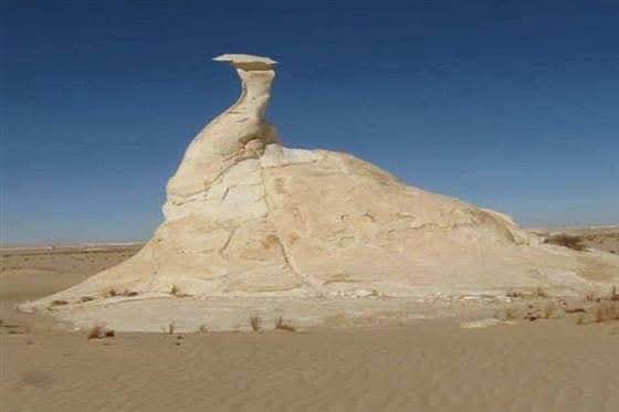 صخرة الدجاجة بالوادى الجديد