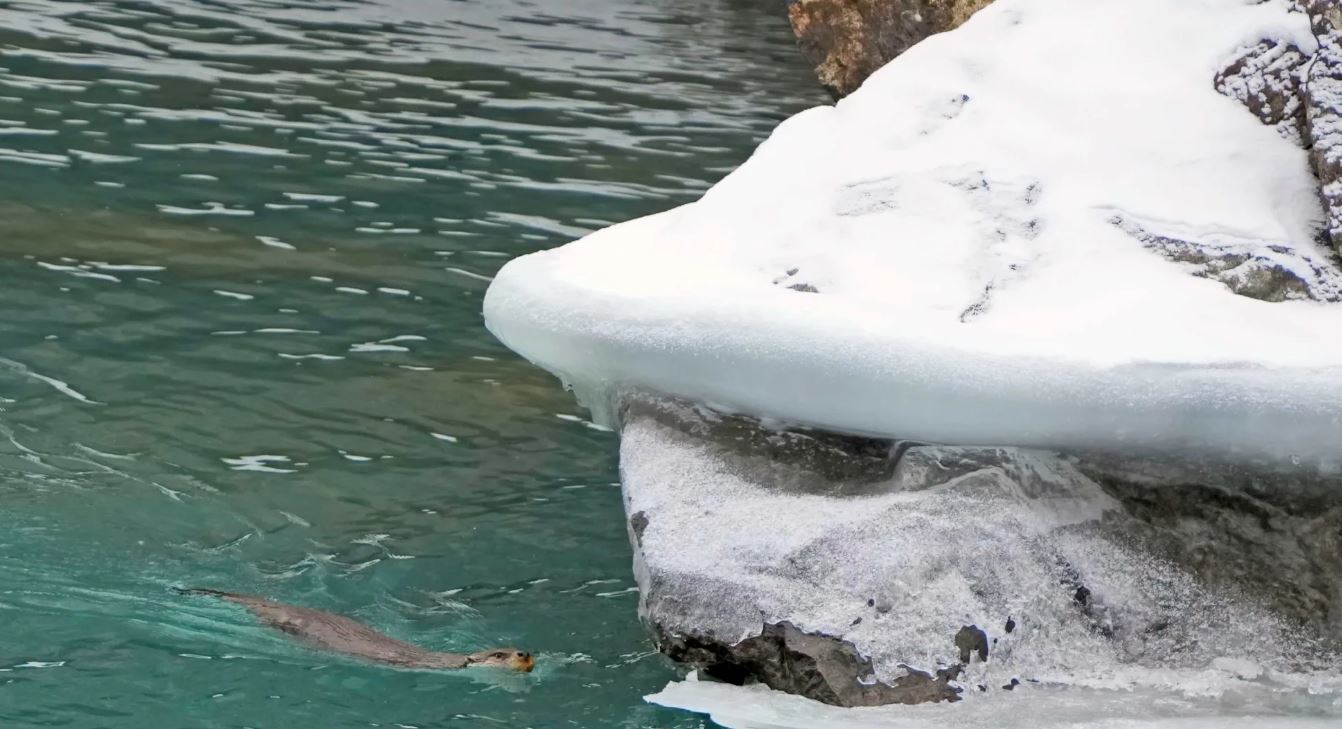  نهر السند  (3)