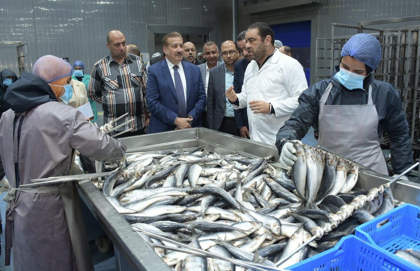 الاسماك في بورسعيد