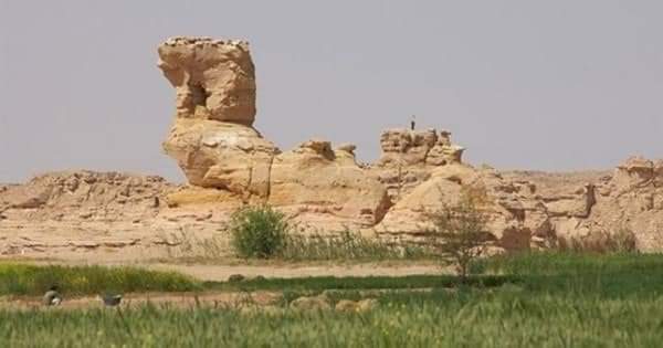 صخرة الجمل الرابض بالوادى الجديد
