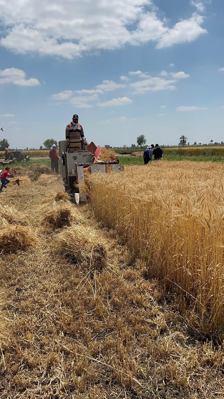 ماكينة الضم والتربيط