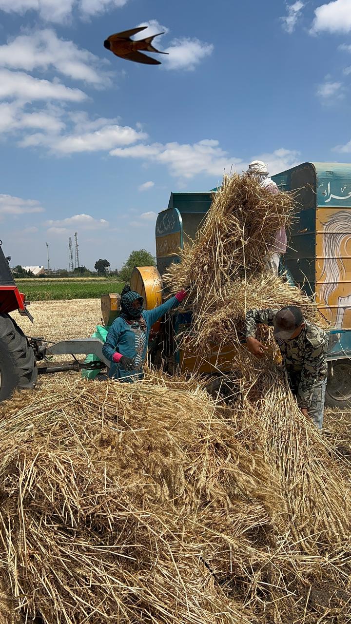إنطلاق موسم الخير والحصاد