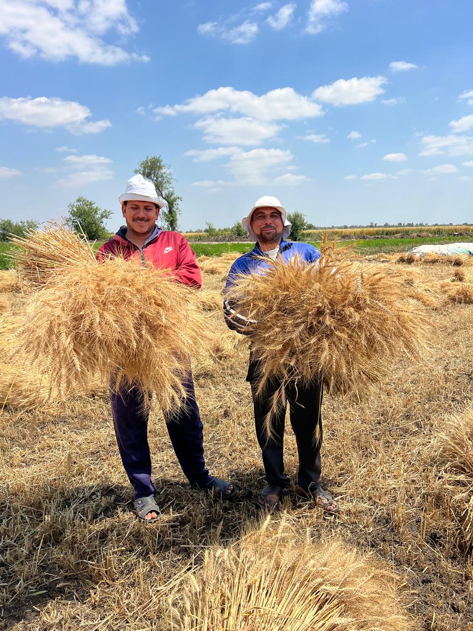 فرحة المزارعين