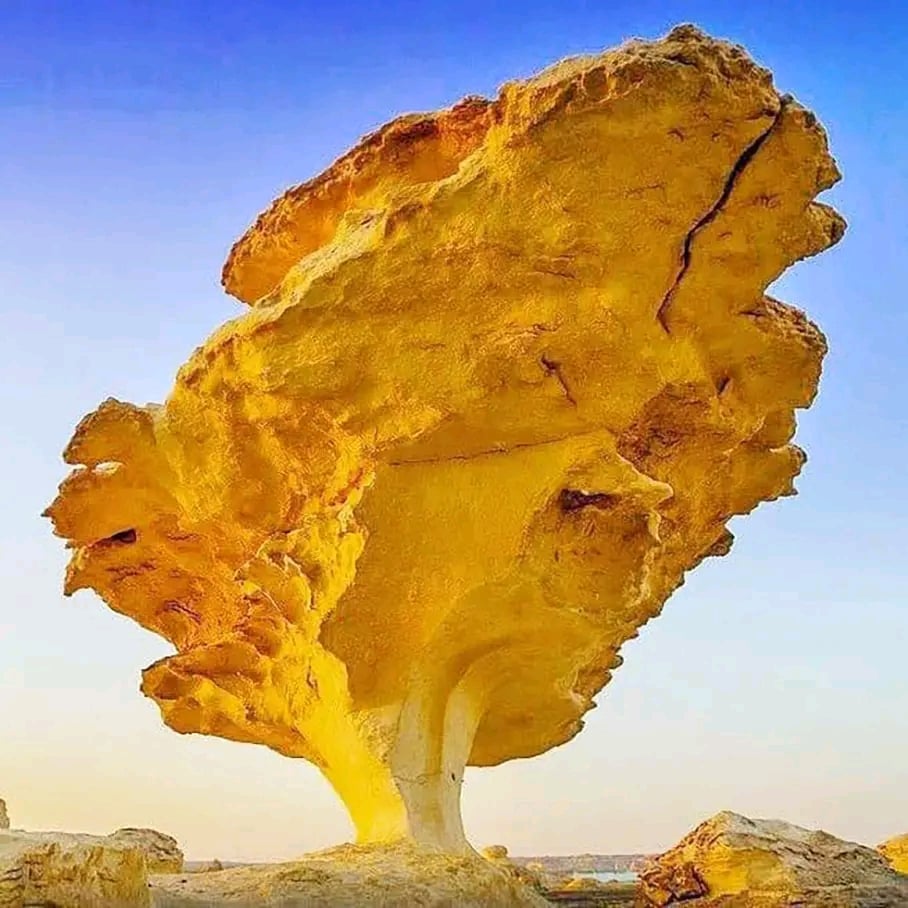 صخور ملونة ونادرة بالفرافرة