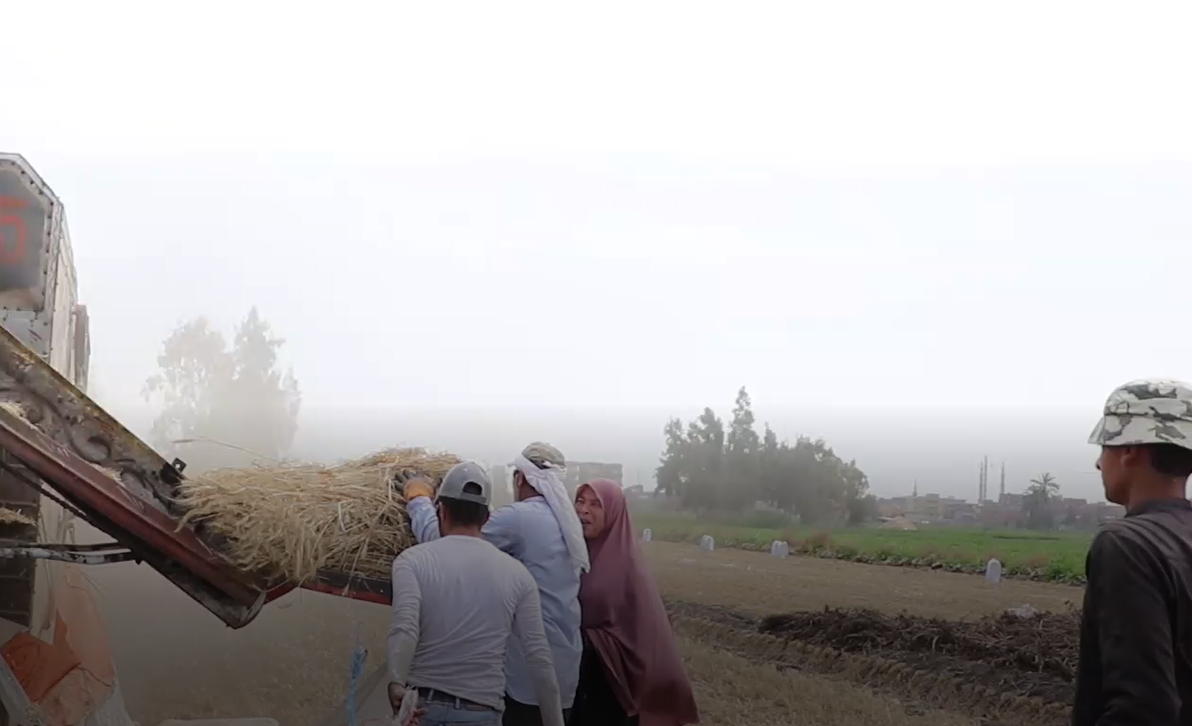 مساعدات السيدات للرجال