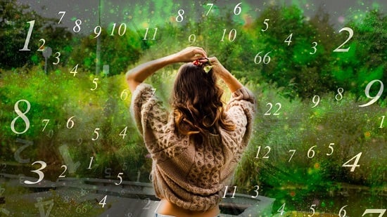 علم الأرقام