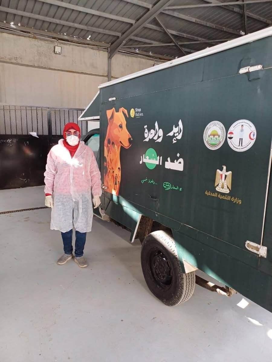 سيارة نقل الكلاب