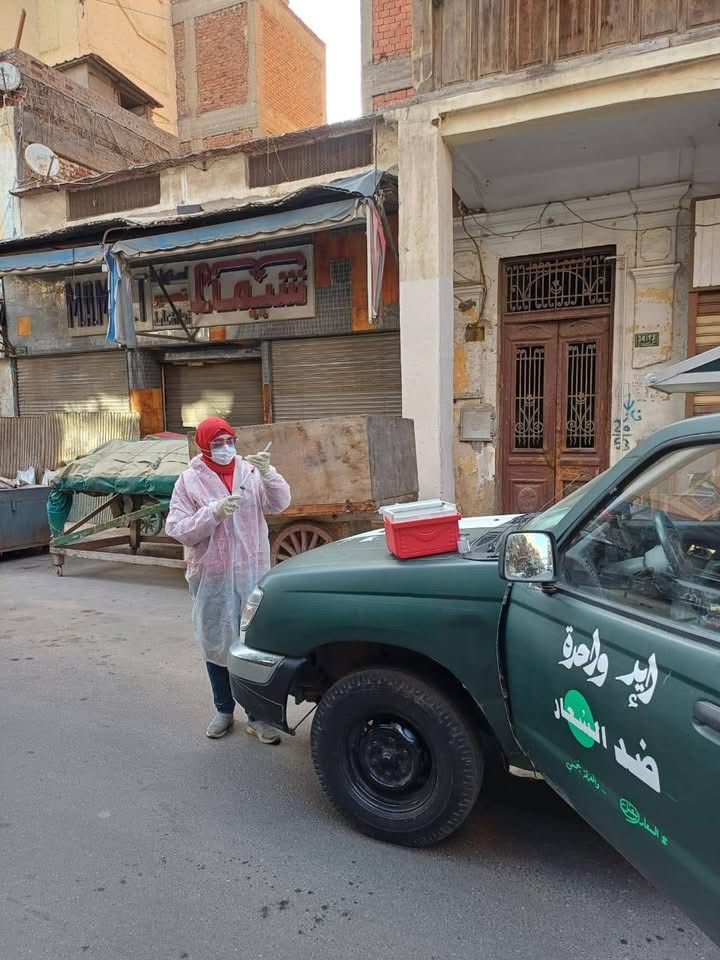 خلال نقل الكلاب