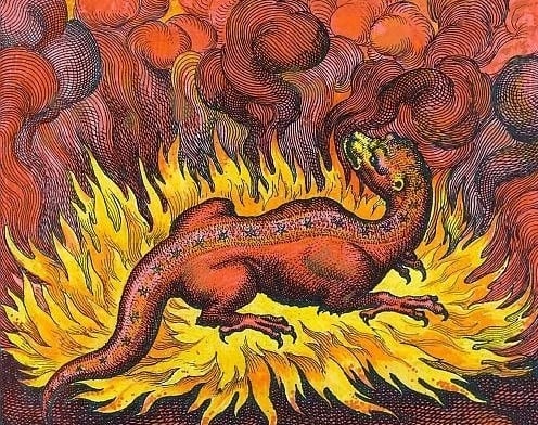 كائن السمندل