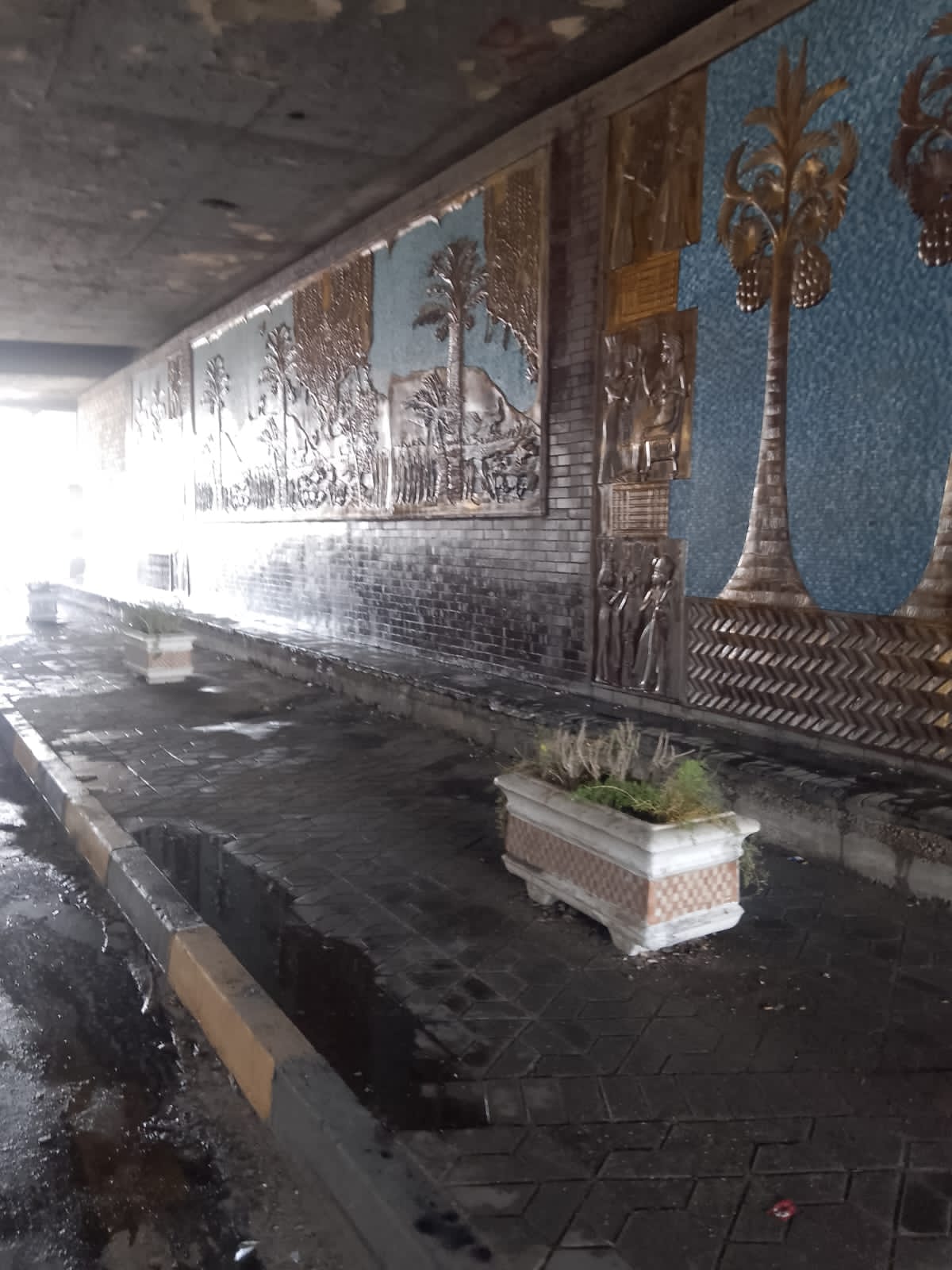 حى العجوزة يكثف حملات النظافة بالشوارع والمحاور (3)