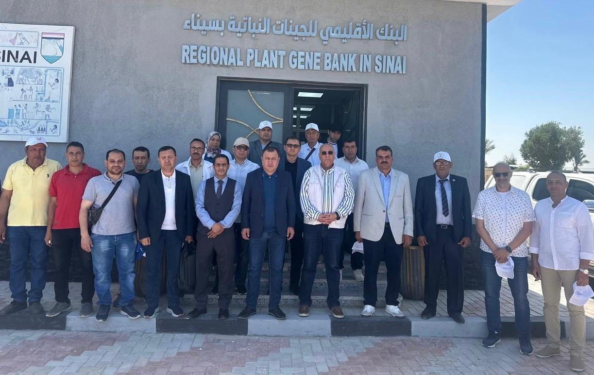 البنك الإقليمى للجينات النباتية