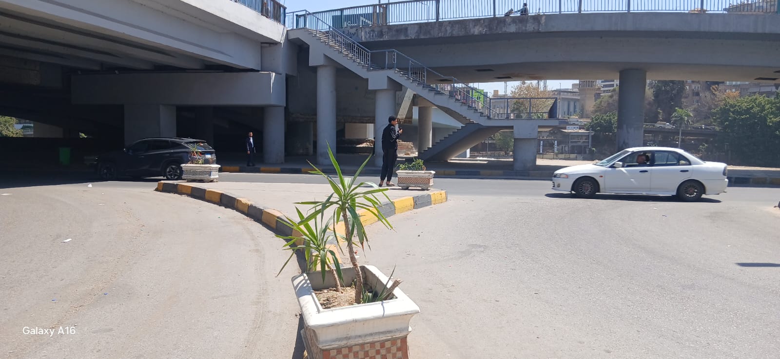 حى العجوزة يكثف حملات النظافة بالشوارع والمحاور (4)