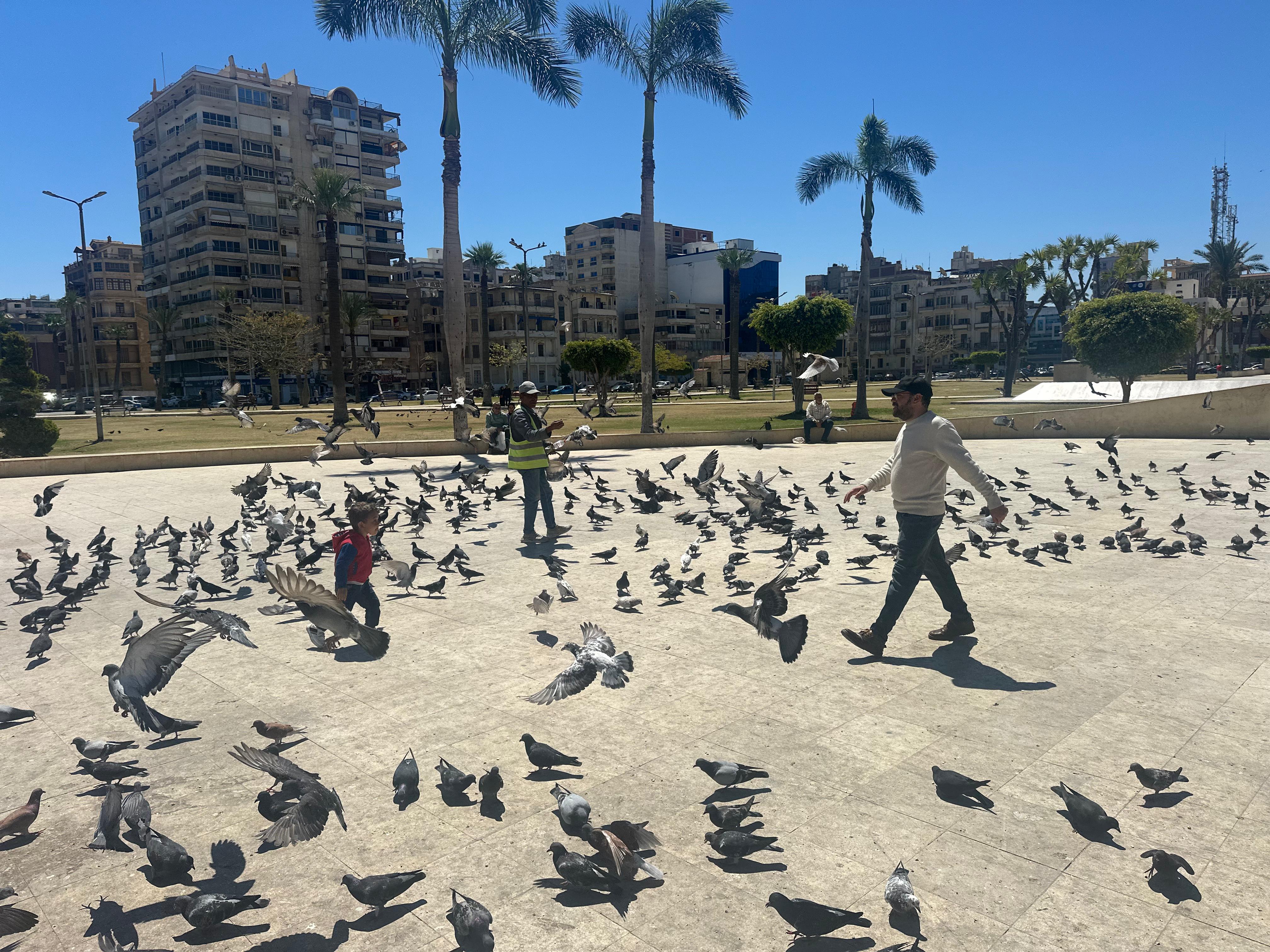 الساحة في الميدان