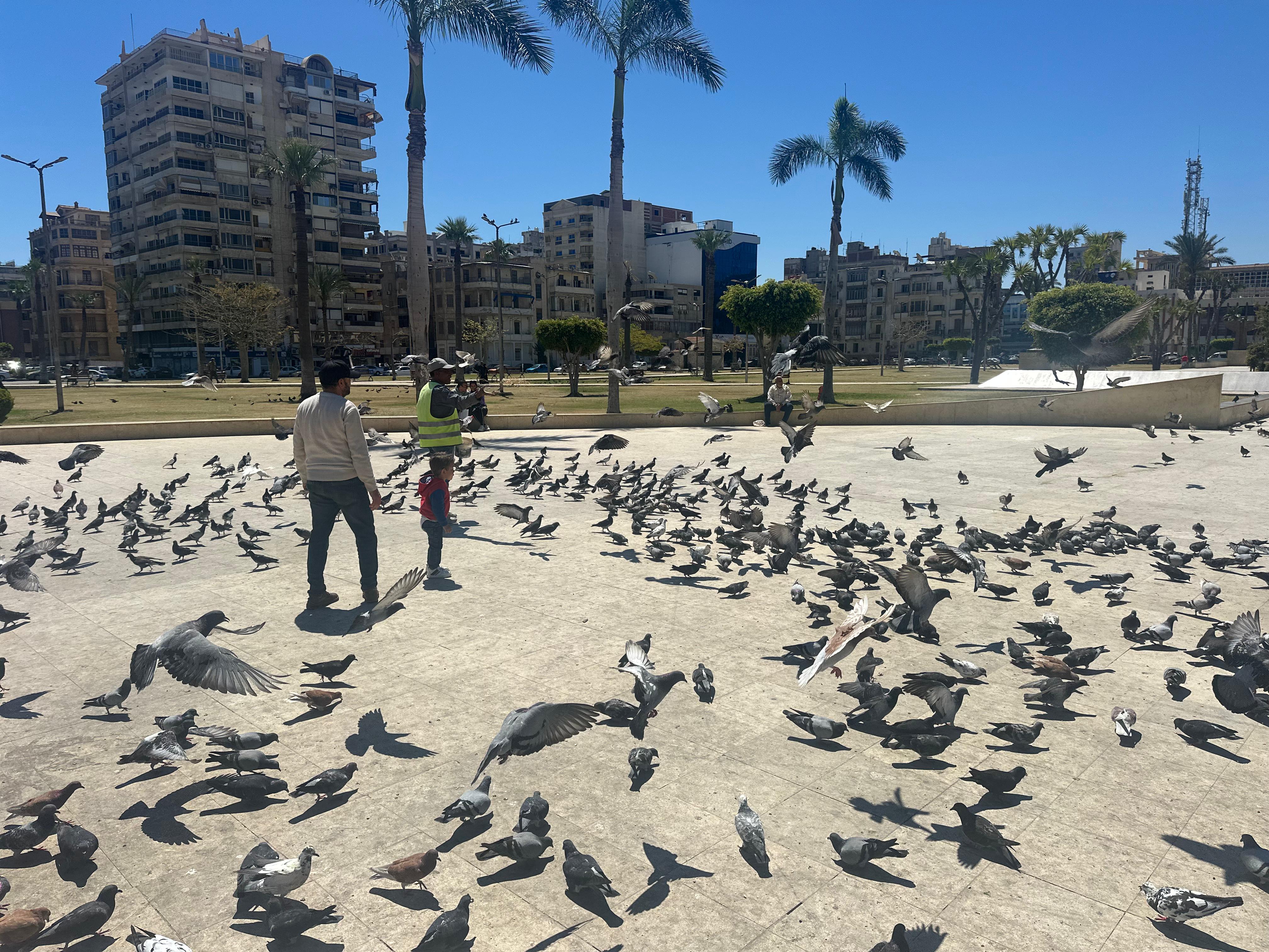 ساحة الحمام