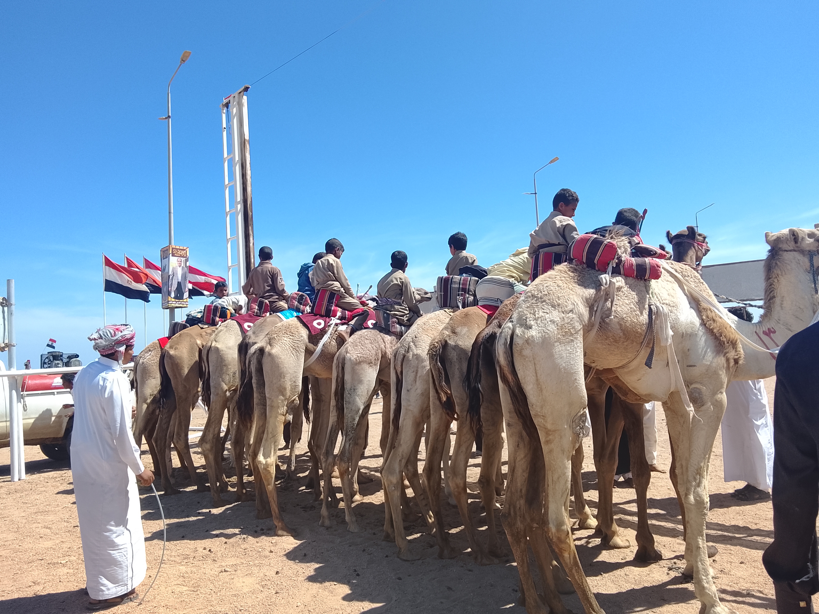 ختام مهرجان الهجن