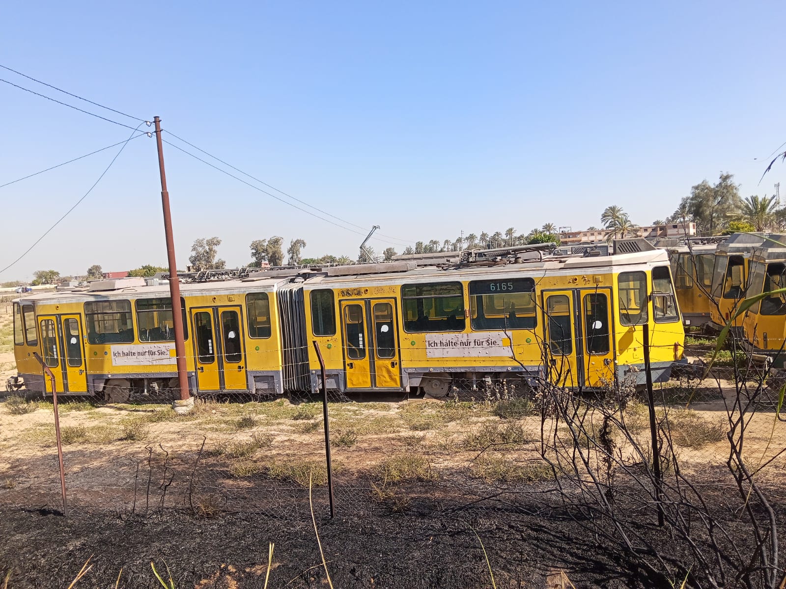 حريق في هيش وبوص غرب الإسكندرية