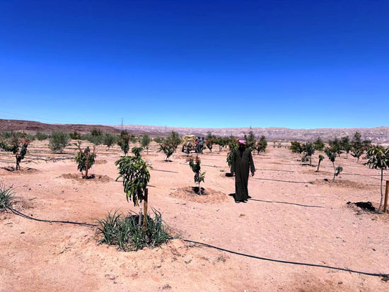 a7a4eae0-c19c-4616-acc8-84015109ea78