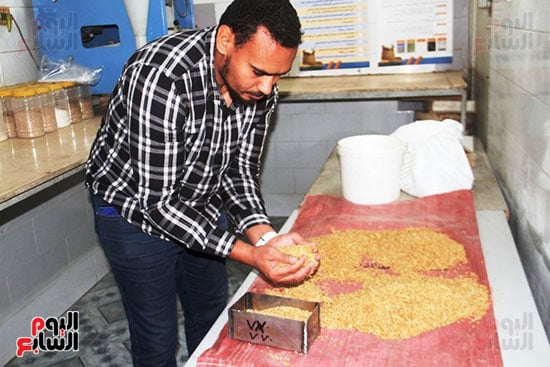 تحليل-عينات_1