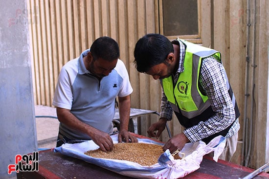 تحليل-العينات-