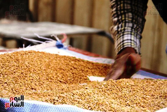 فصل-الشوائب