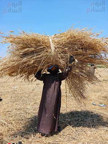 المراة-الريفية-فى-الصدارة