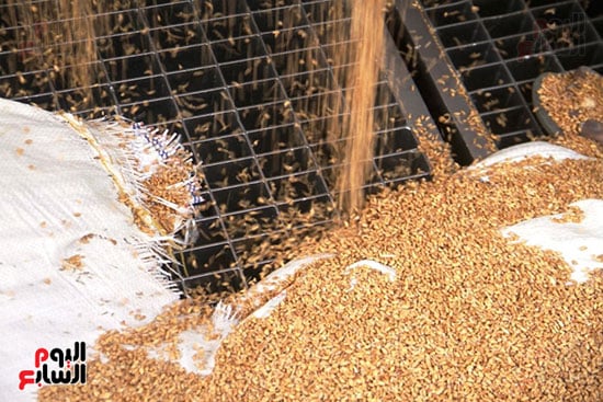 تفريغ-القمح-فى-الهوبر