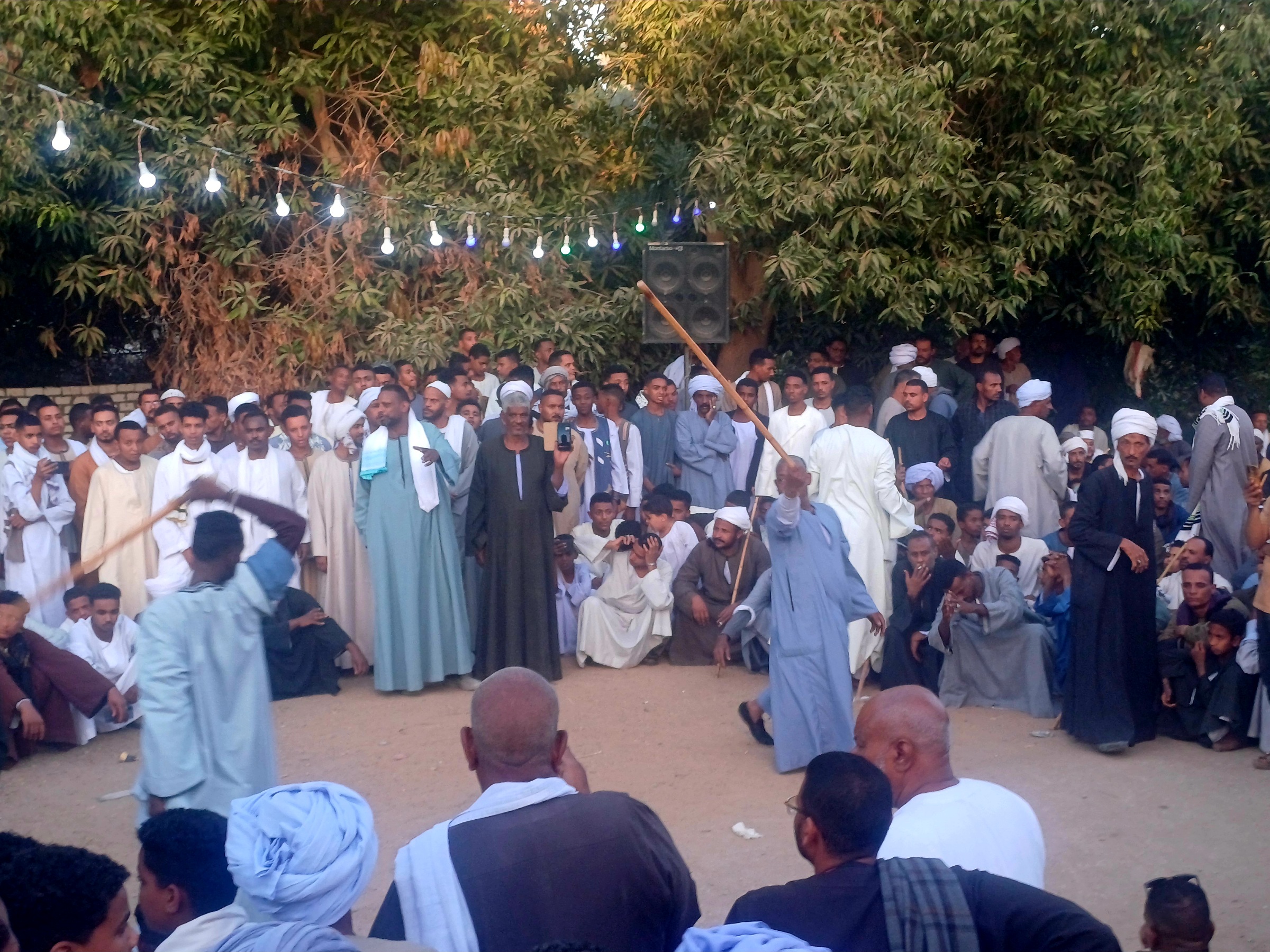 تنافس التحطيب