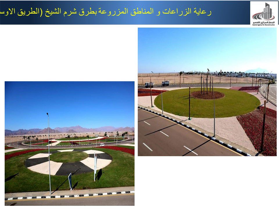 مشروعات تنمية سيناء  (5)