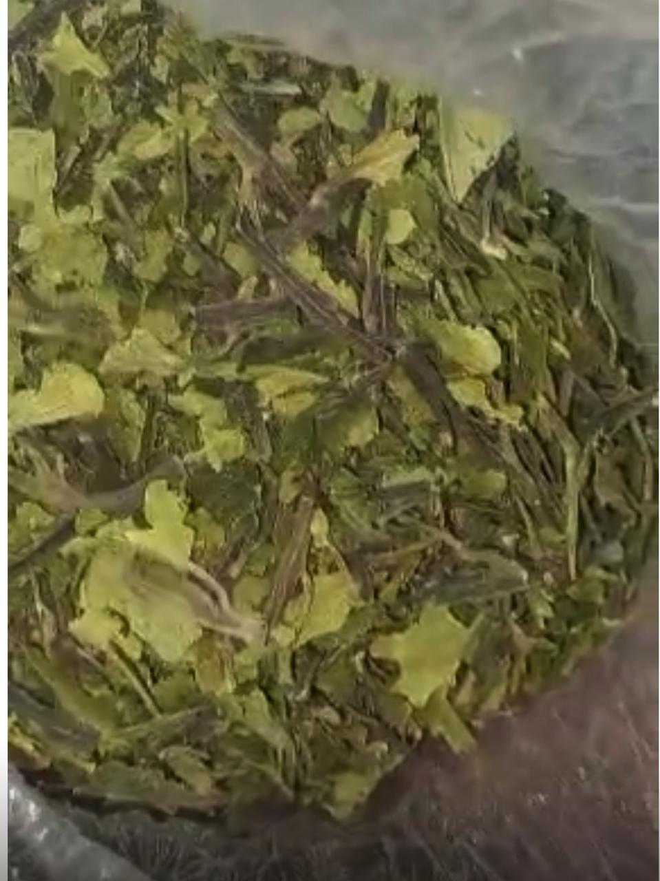 المضبوطات (10)