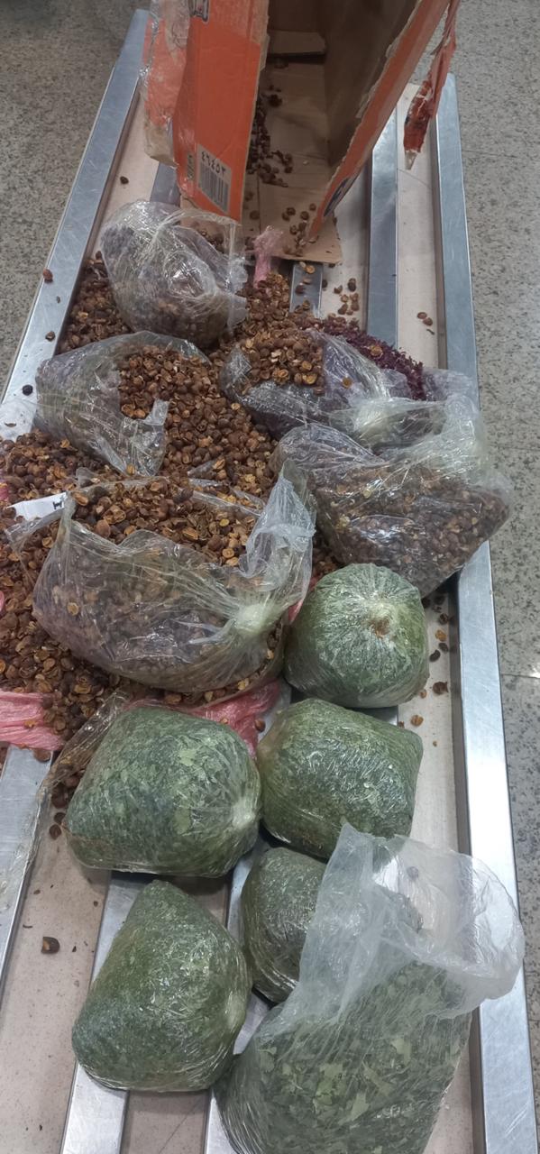 المضبوطات (1)