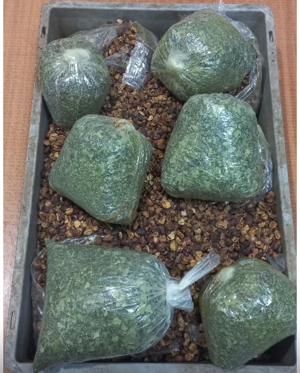 المضبوطات (12)