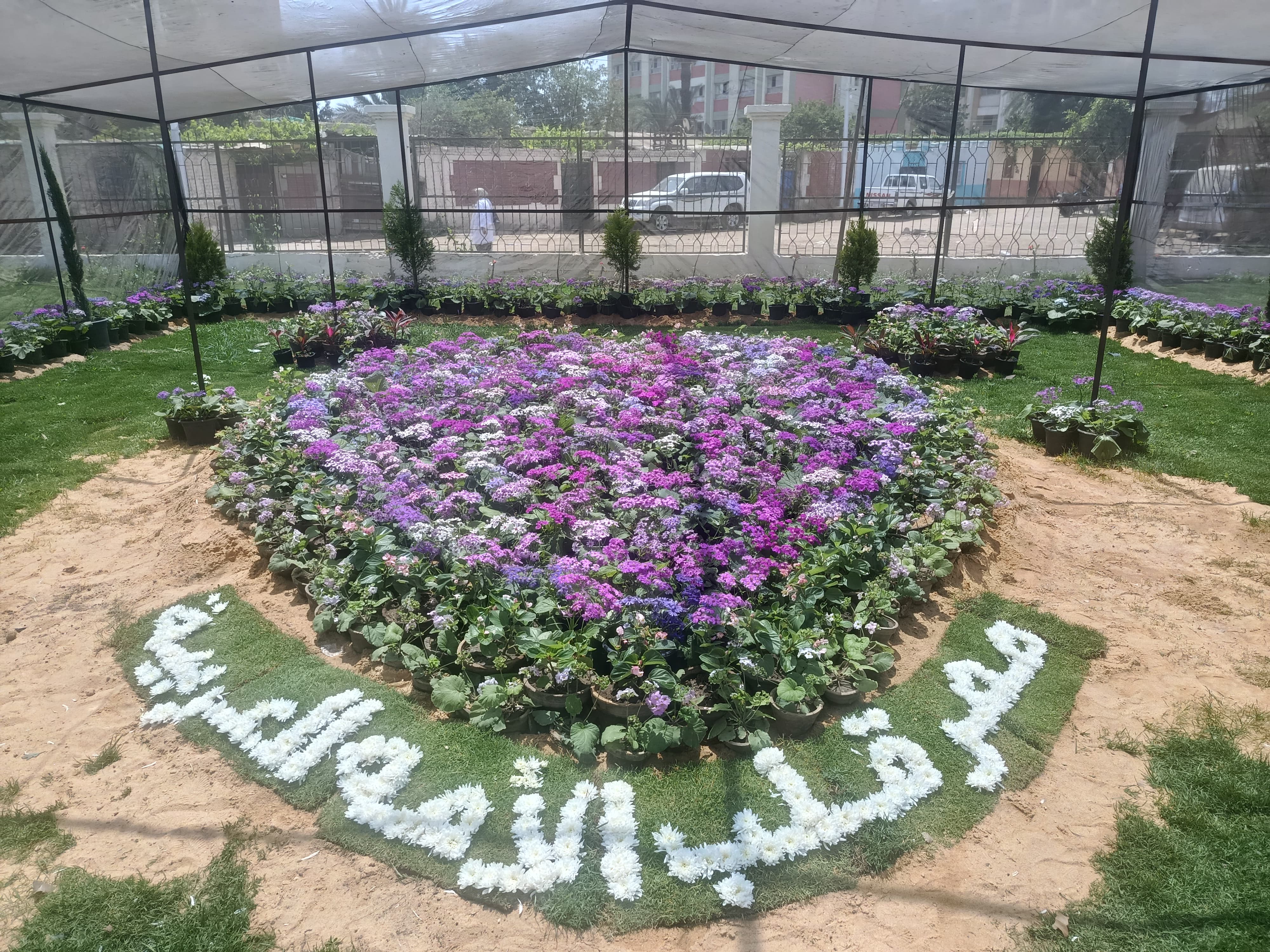 مصر قلب الأمة العربية بالورود