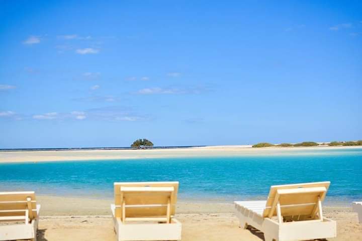 شواطئ مرسي علم