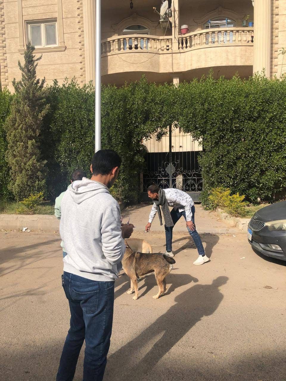 خلال الحملات بالعبور