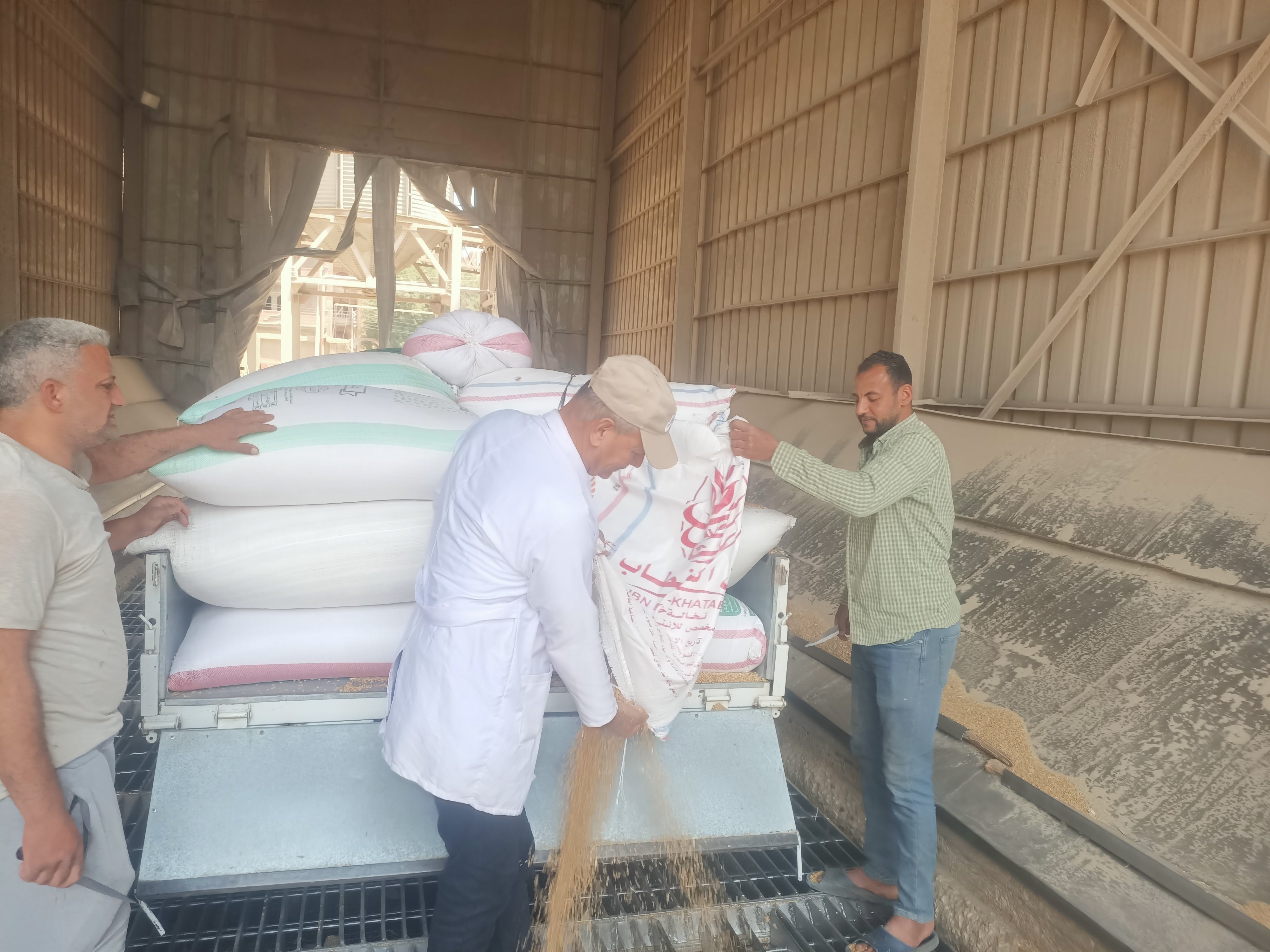 تفريغ القمح