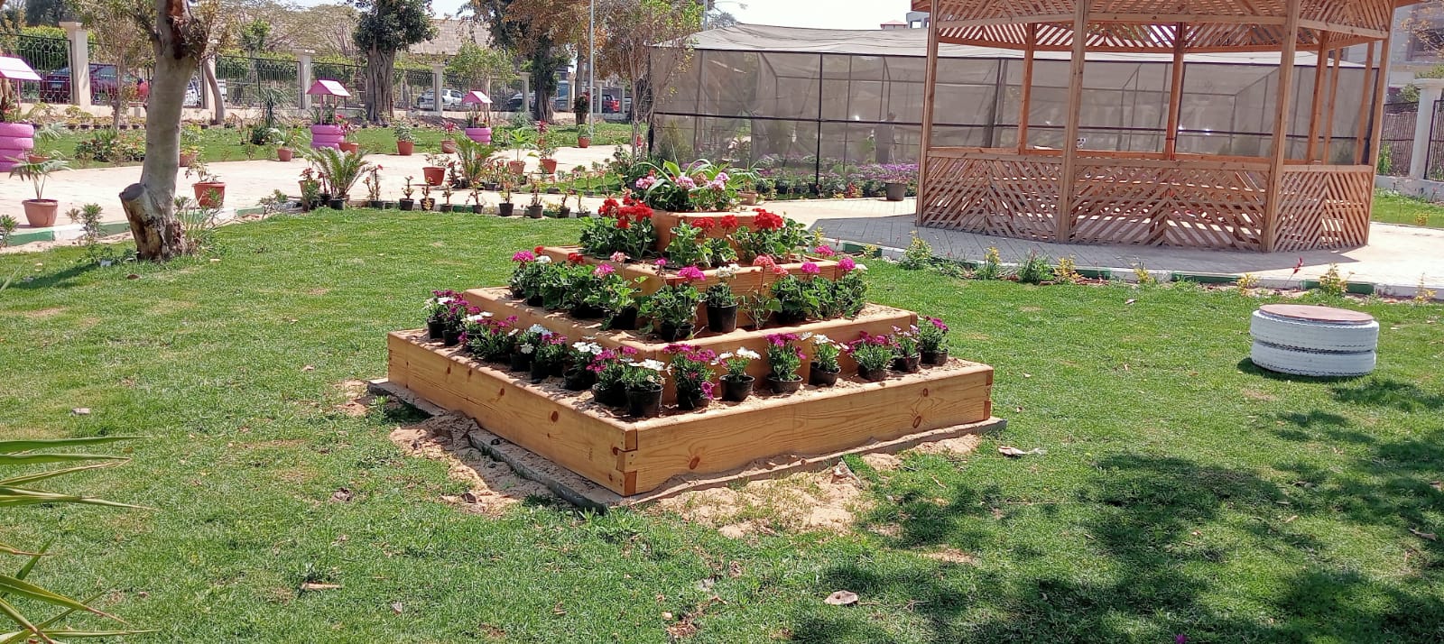 الزهور بالمعرض