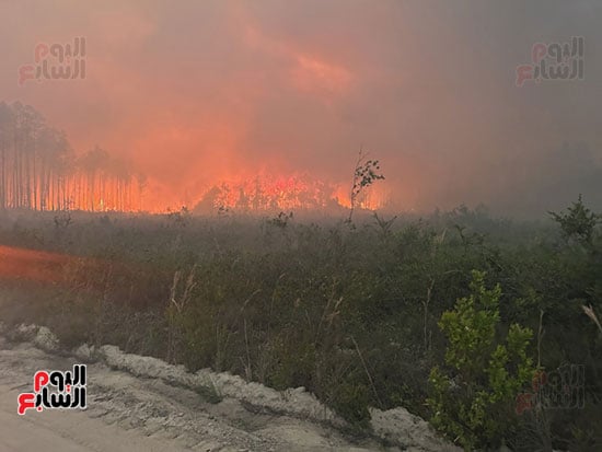 تصاعد النيران فى غابات أمريكا