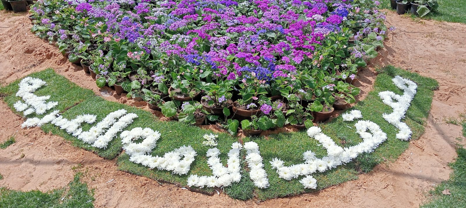 مصر قلب الأمة العربية