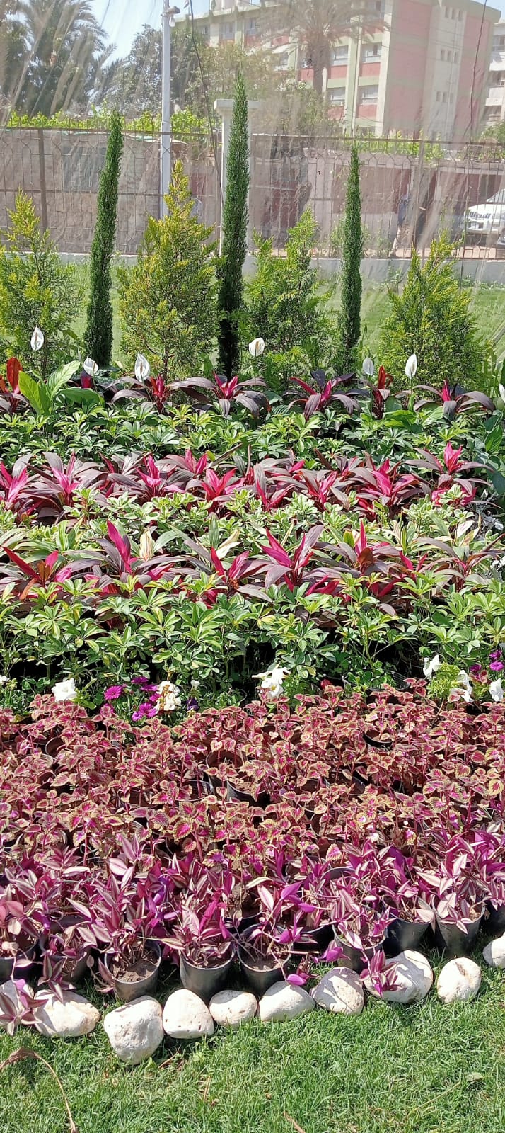 ورود على كل شكل ولون