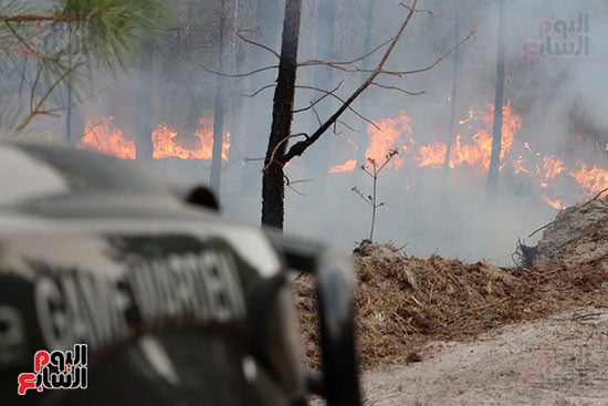 حرائق الغابات فى ولاية جورجيا الأمريكية