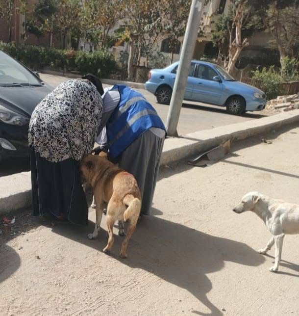 تطعيم الكلاب ضد السعار بالعبور