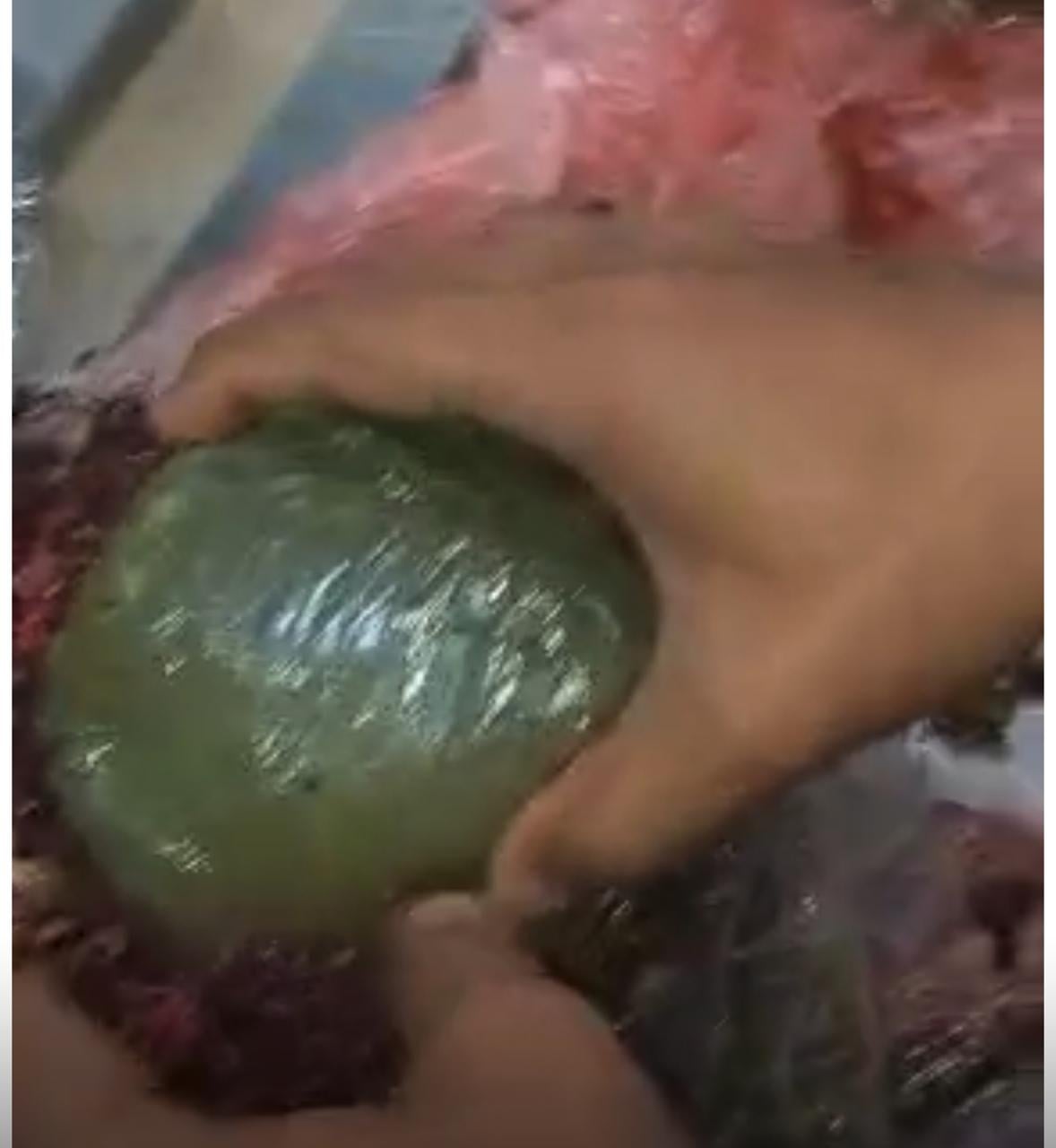 المضبوطات (9)