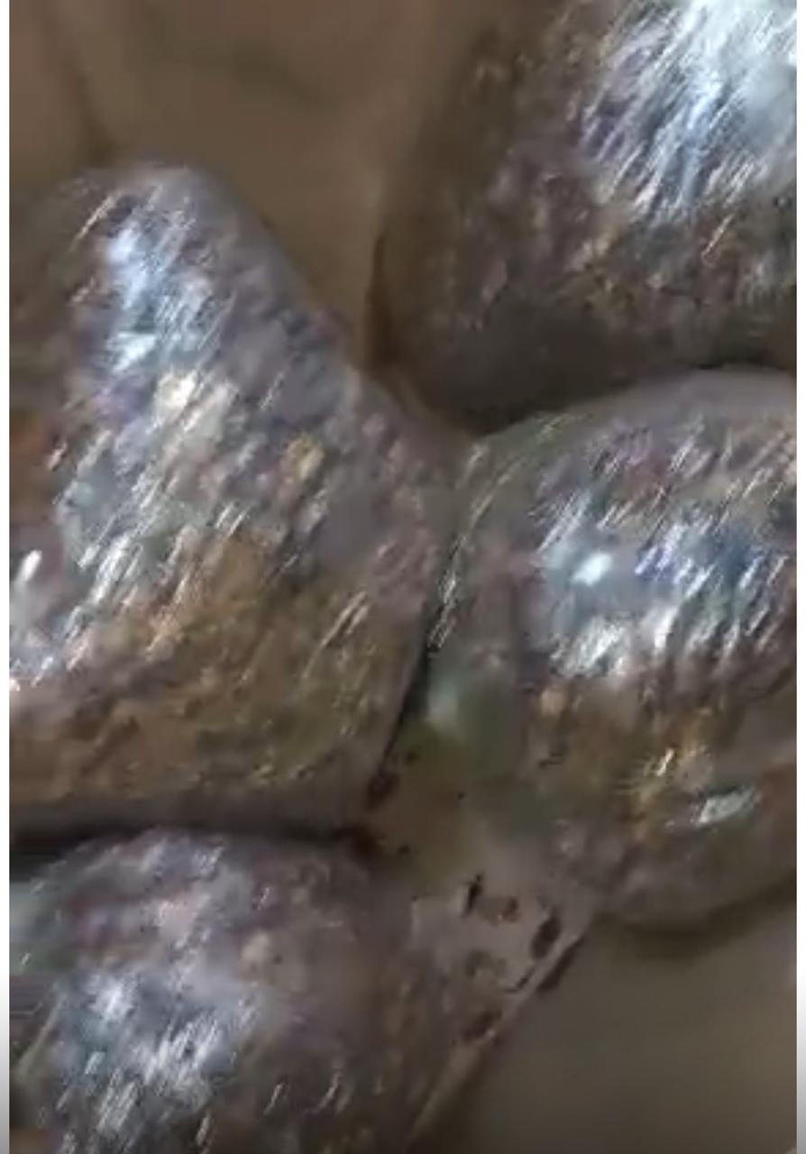 المضبوطات (7)