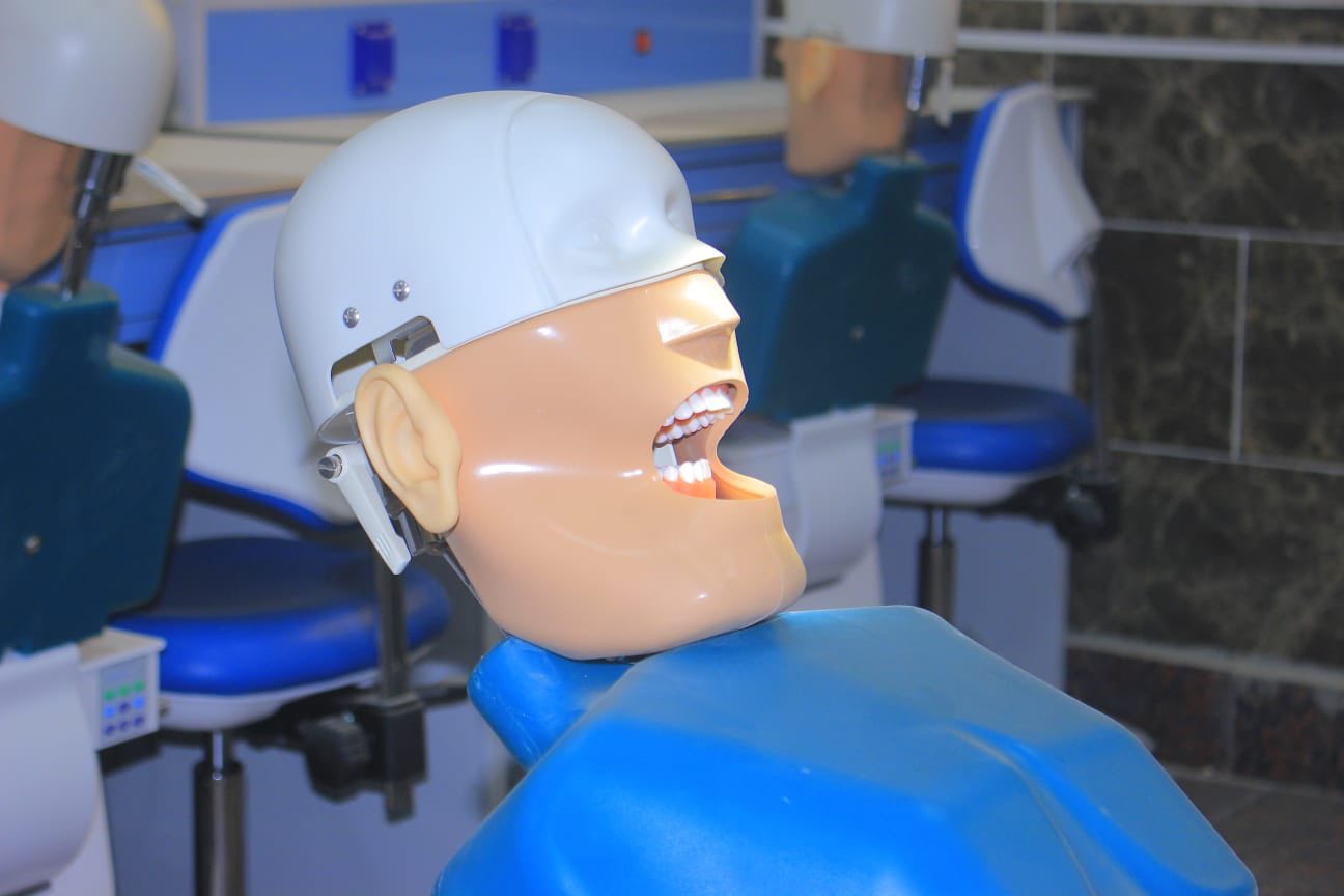 نموذج تدريب