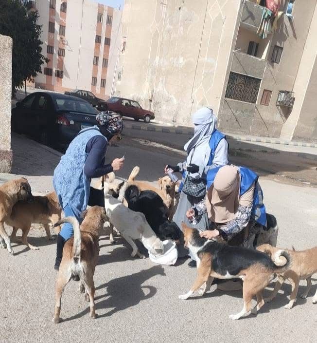 خلال الحملات بمدينة العبور