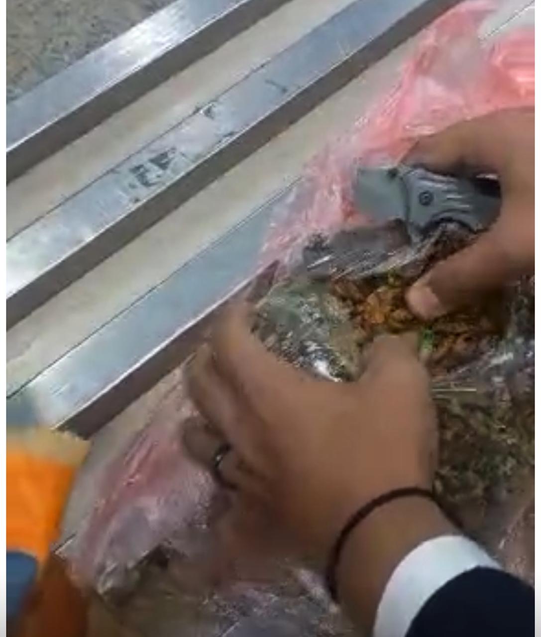 المضبوطات (2)