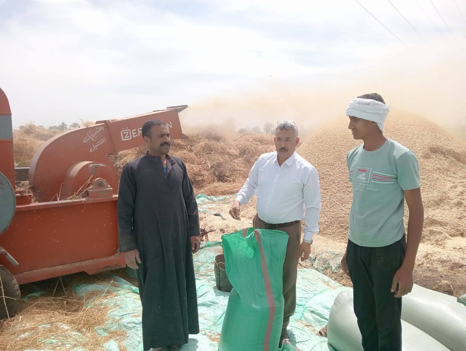 تشوين القمح بعد الدراس