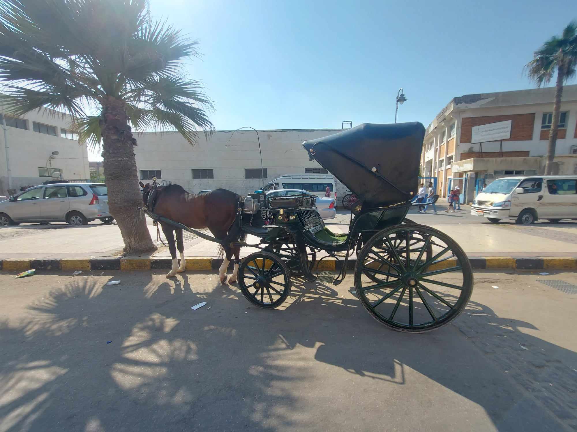 عربات الحنطور بمدخل القلعة